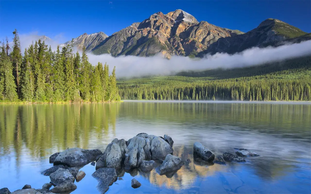 创意高精度全自动
